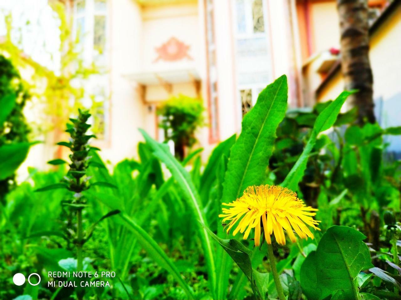 Rakat Inn Navigator Tashkent Exterior photo
